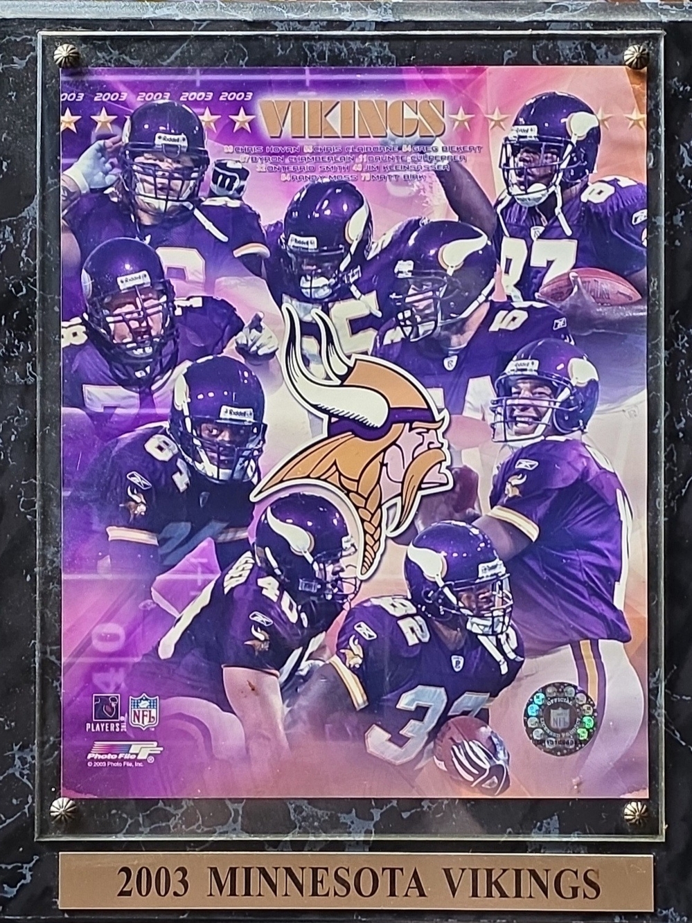 Minnesota Vikings Framed Team Plaque - Purple & Gold